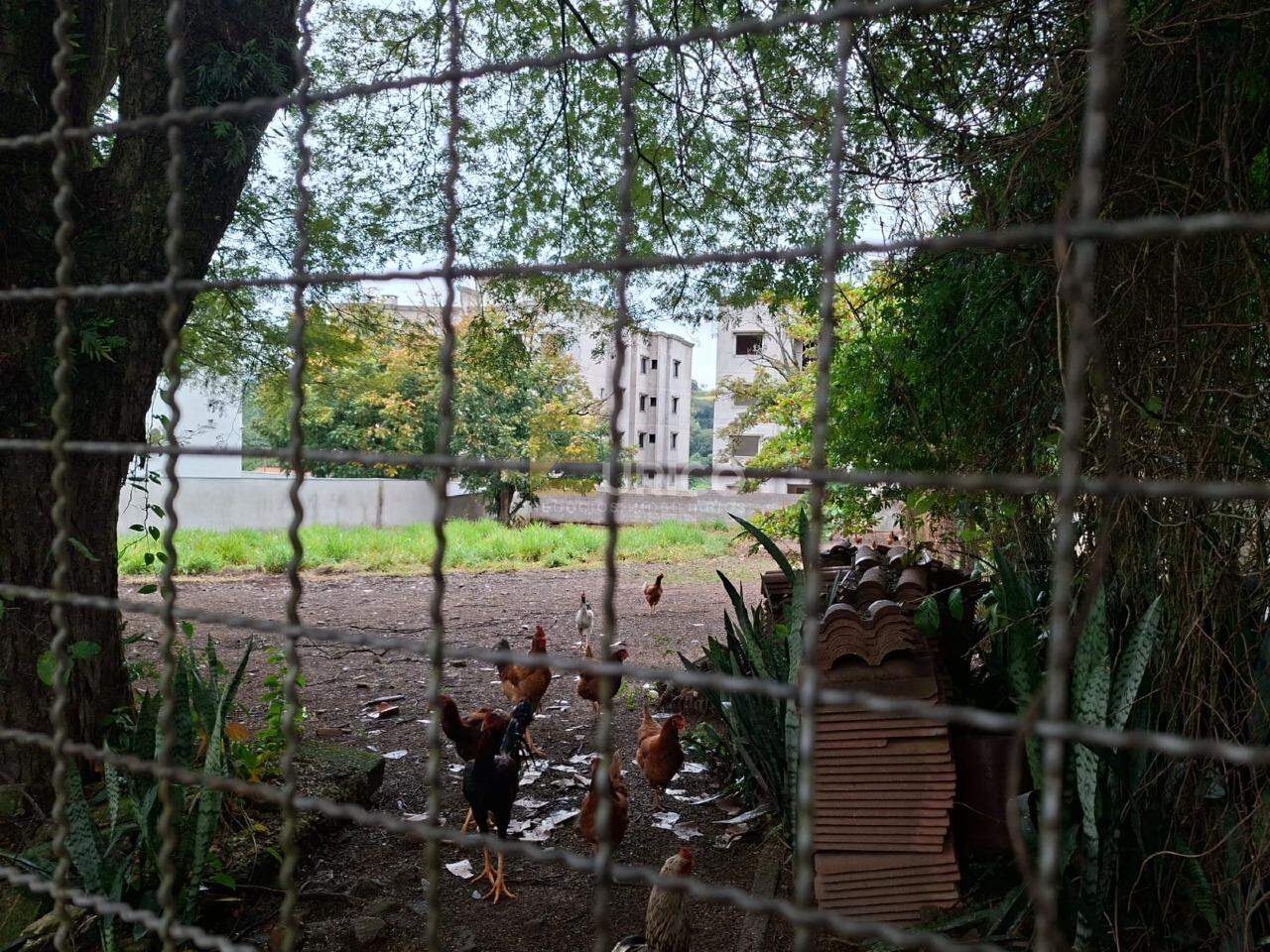 Terreno à venda no Centro em Vinhedo/SP: