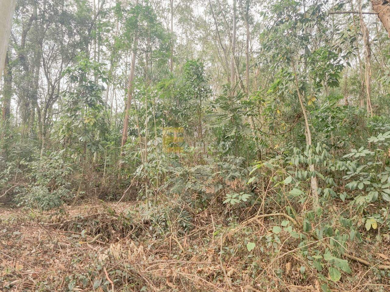 Terreno em Condomínio à venda no Condomínio Vale da Santa Fé em Vinhedo/SP: 