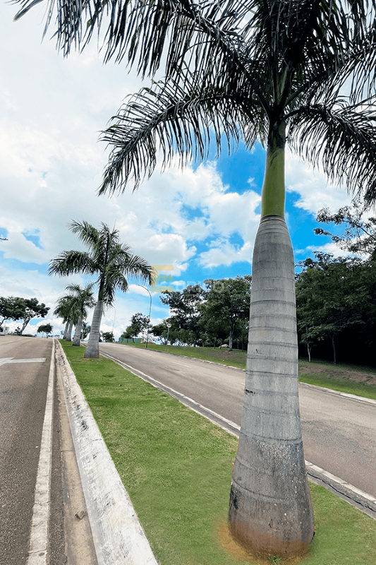 Terreno em Condomínio à venda no Condomínio Residencial Vida Real em Itupeva/SP:
