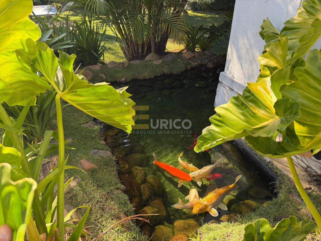 Casa em condomínio à venda no São Joaquim em Vinhedo/SP: