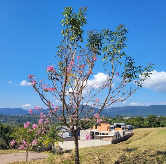 Terreno em Condomínio à venda no Condomínio Terras da Alvorada em Itupeva/SP: