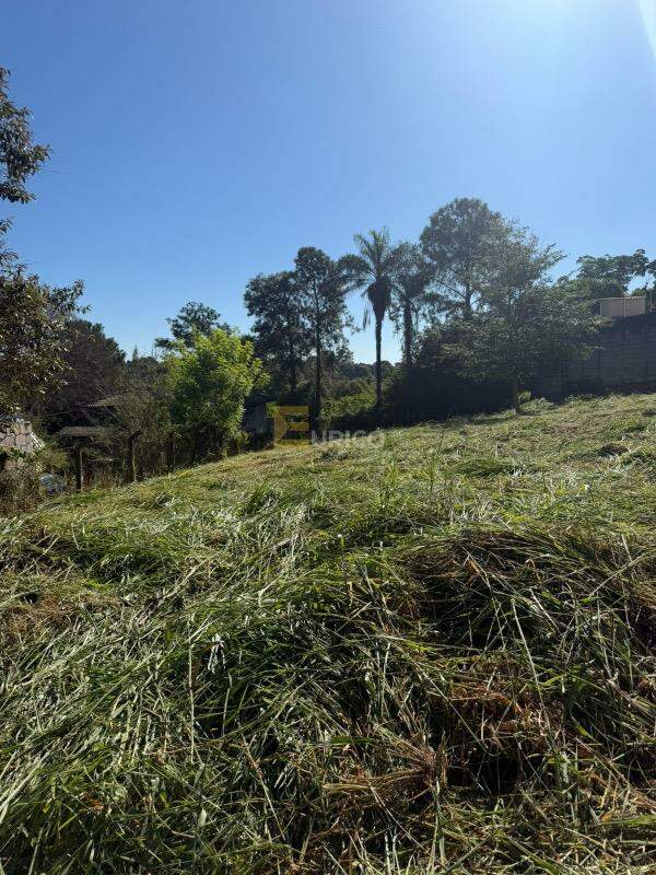 Terreno à venda no Vista Alegre em Vinhedo/SP: