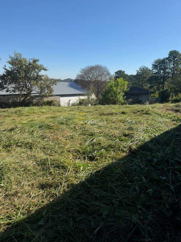 Terreno à venda no Vista Alegre em Vinhedo/SP: