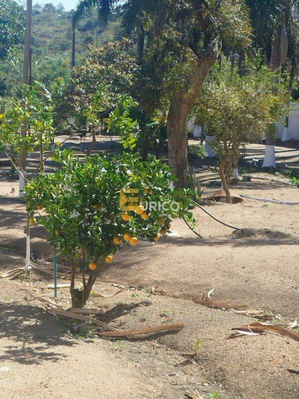 Chácara à venda no Carafá em Votorantim/SP: 