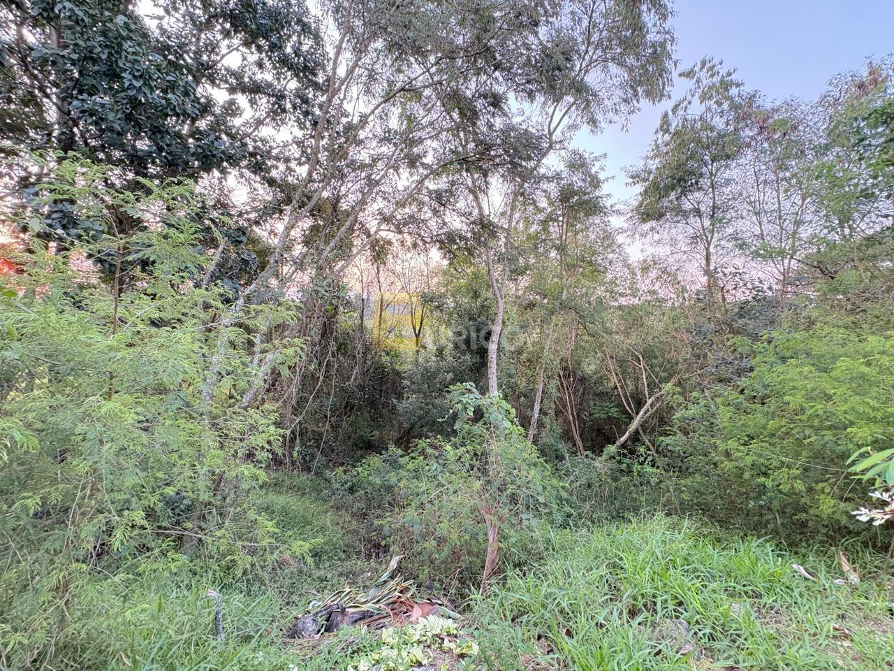 Terreno em Condomínio à venda no Condomínio Vista Alegre - Café em Vinhedo/SP: