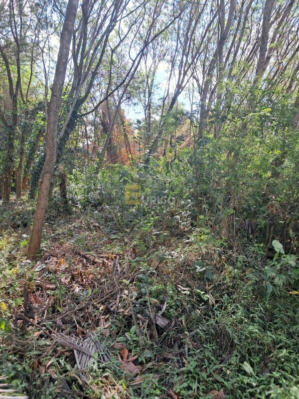 Área à venda no Cachoeira em Vinhedo/SP: 