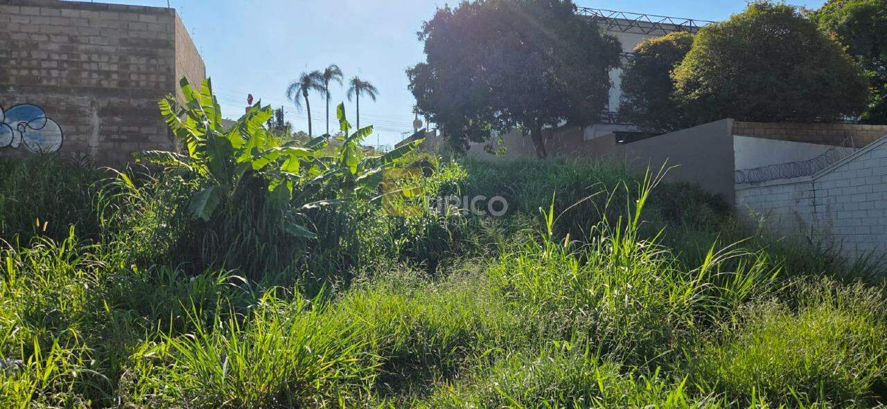 Terreno para aluguel no Centro em Vinhedo/SP: 
