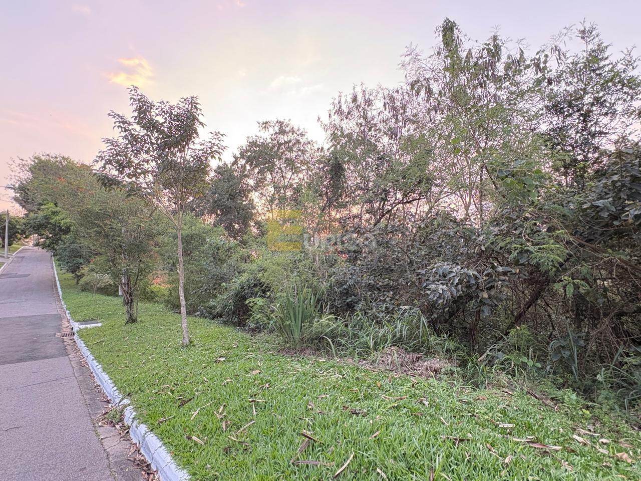 Terreno em Condomínio à venda no Condomínio Vista Alegre - Café em Vinhedo/SP: 