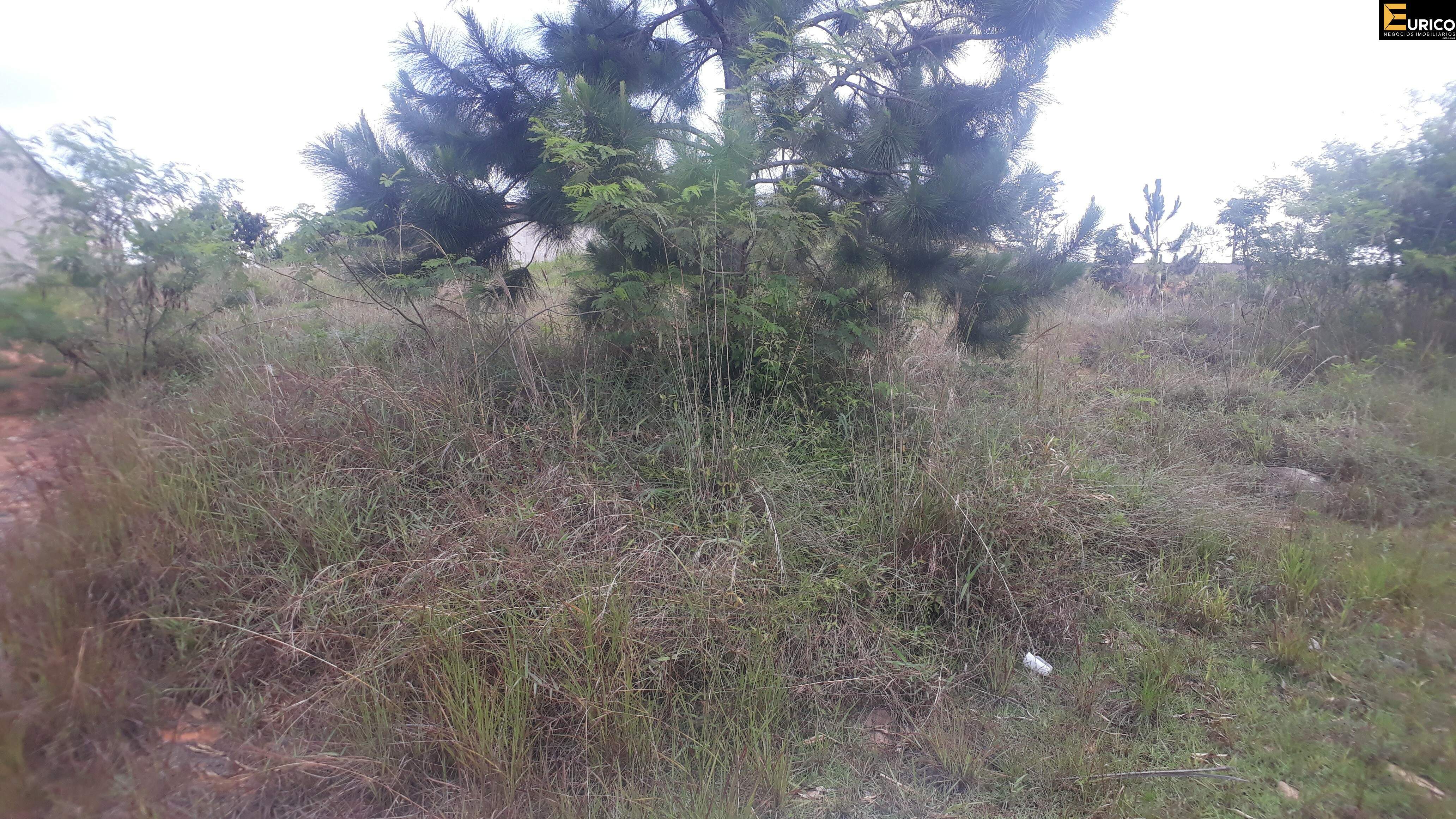 Terreno à venda no Pinheirinho em Vinhedo/SP: Foto 04
