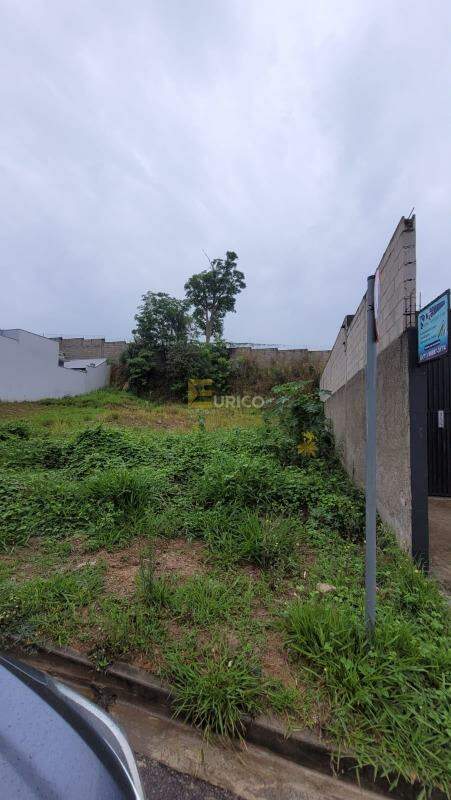 Terreno à venda no Vista Alegre em Vinhedo/SP: 