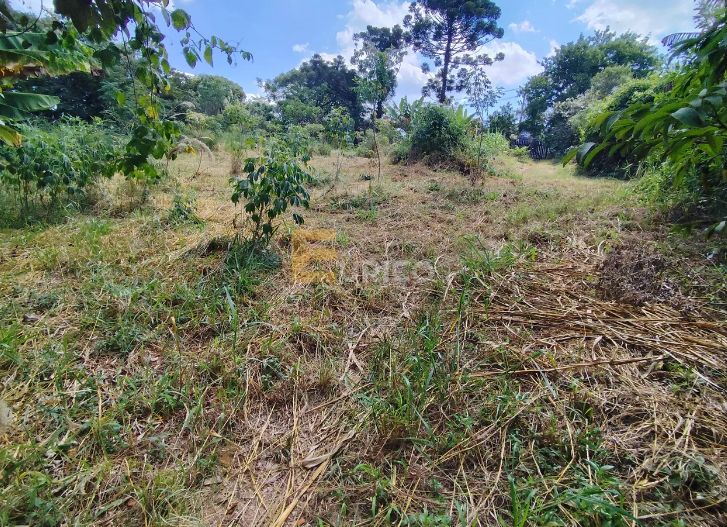 Terreno à venda no Bairro da Mina em Itupeva/SP: 