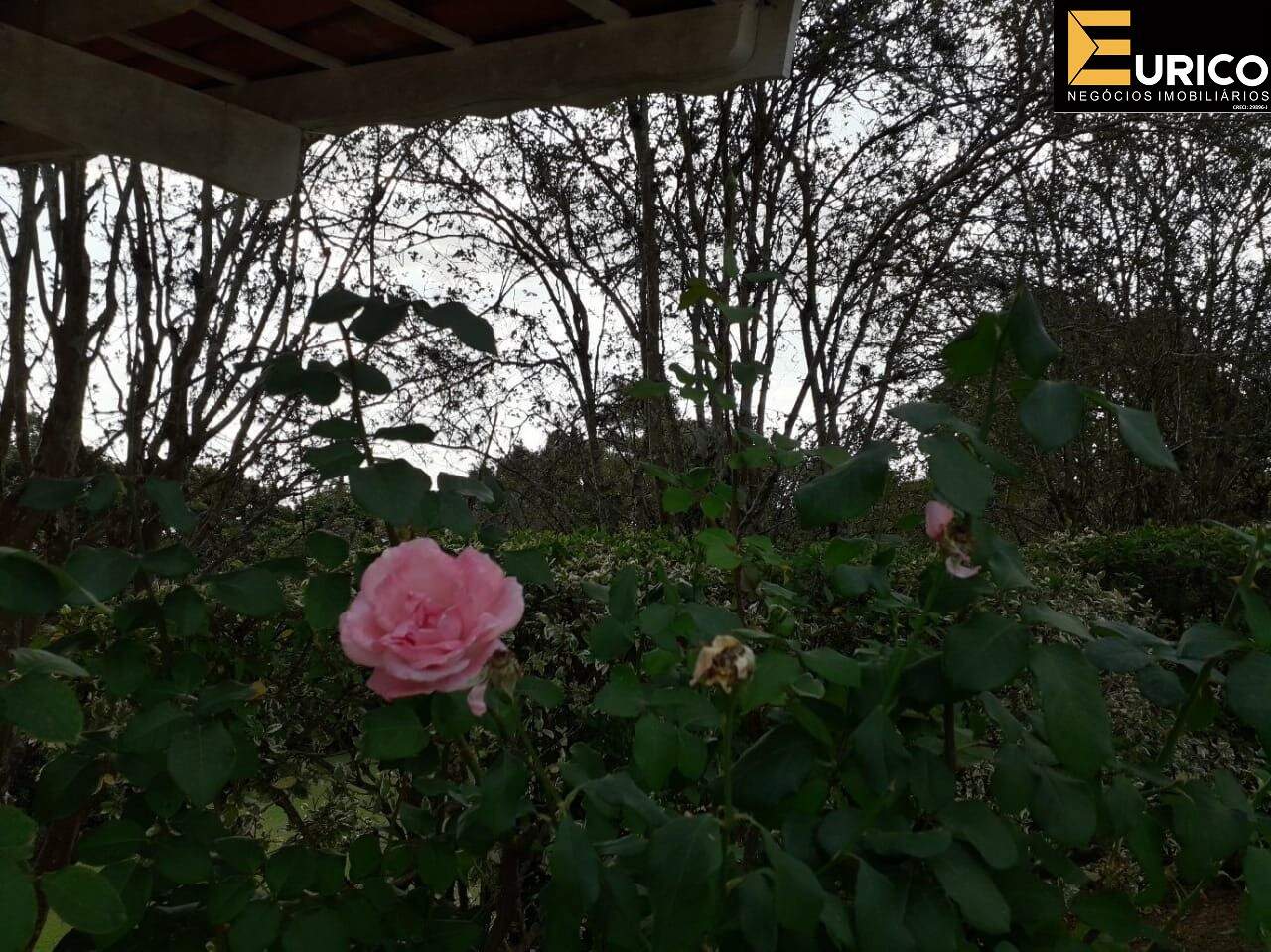 Chãozão - O Maior Portal de Anúncios de Imóveis Rurais do Brasil.
