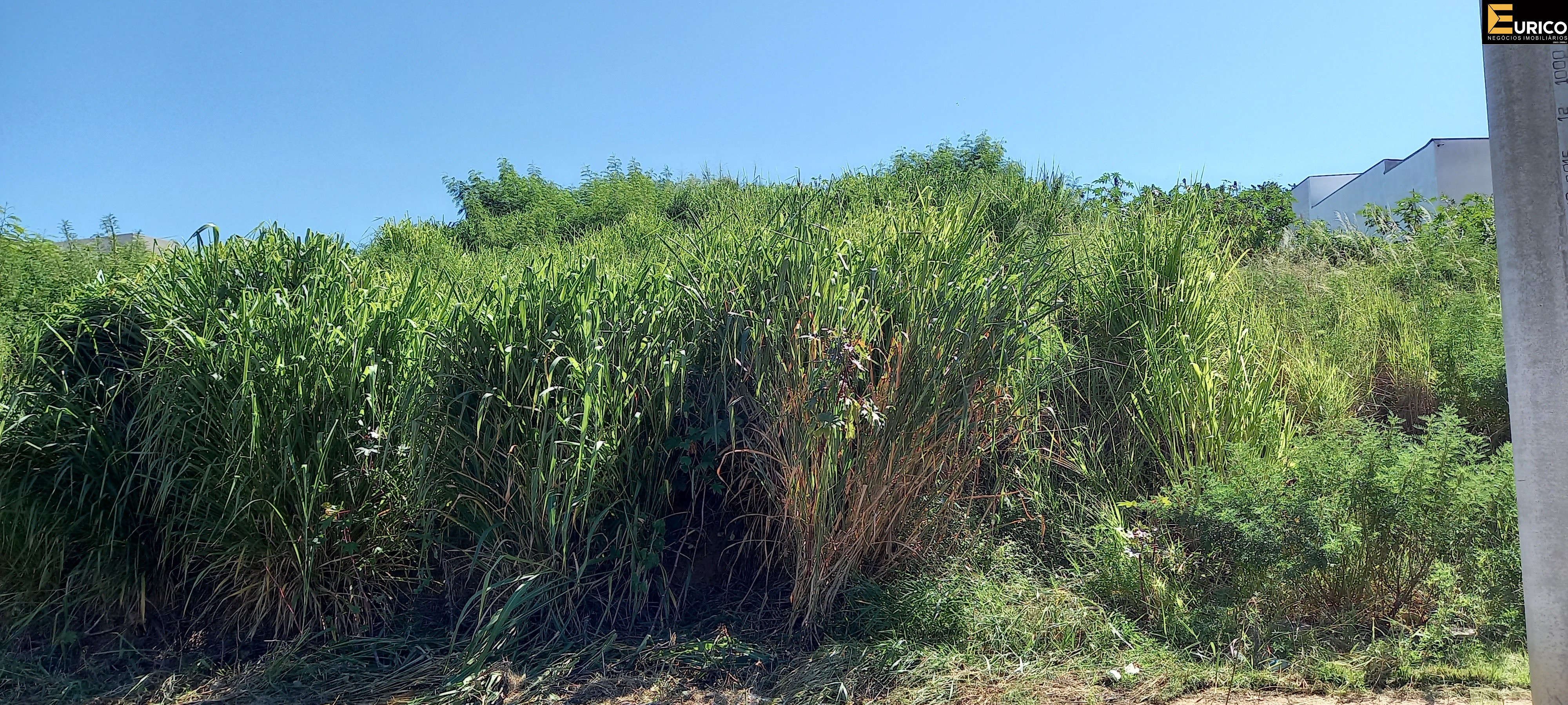 Terreno à venda no Jardim das Videiras em Vinhedo/SP: Foto 03