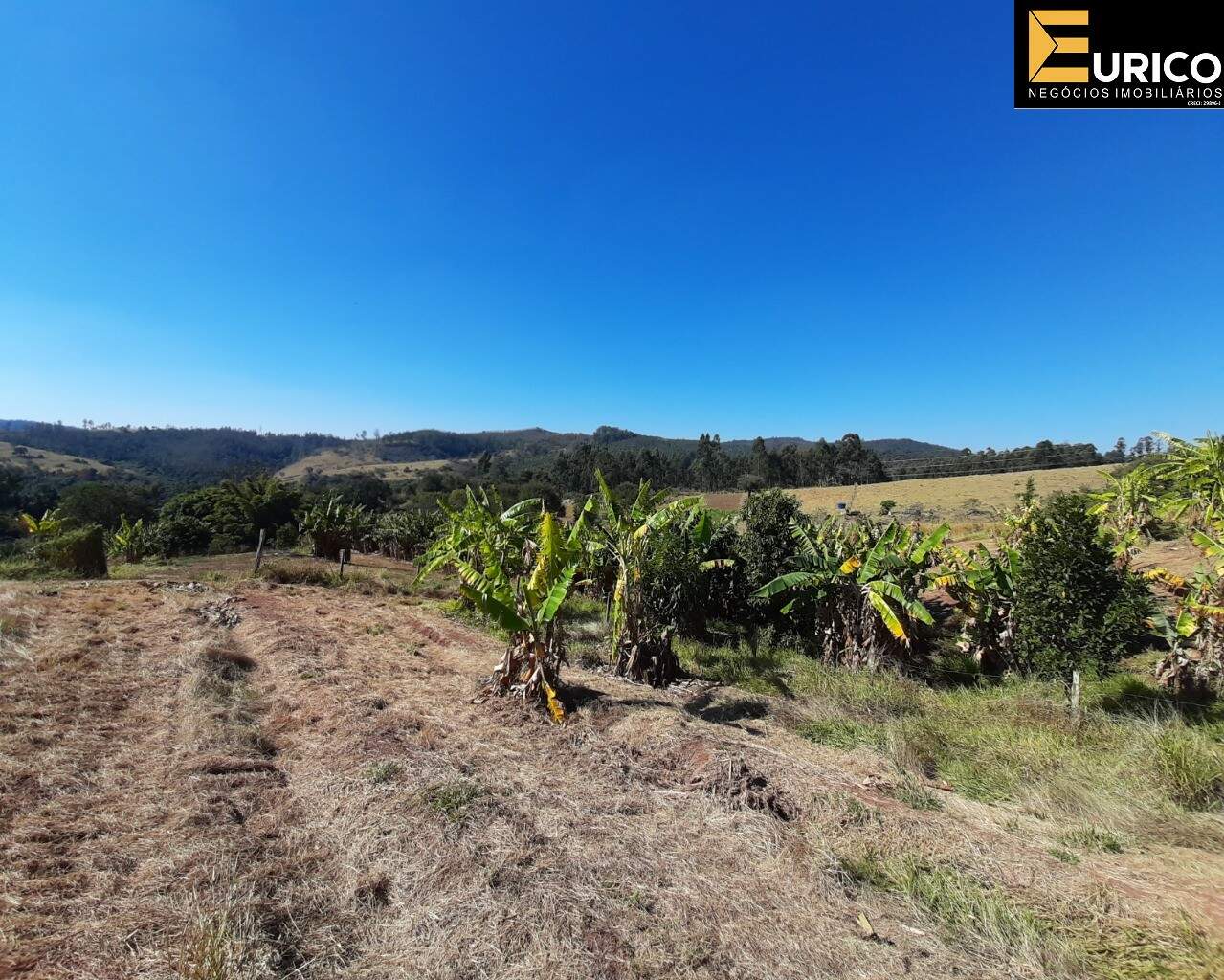 Área à venda no Monte Alegre em Vinhedo/SP: Foto 03