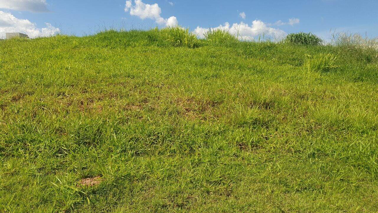 Terreno em Condomínio à venda no Monte Alegre em Vinhedo/SP: Foto