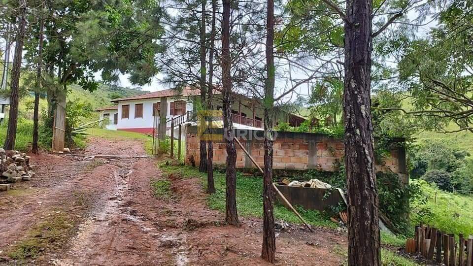 Fazenda à venda no Fazenda das Colinas em POUSO ALTO/MG: 