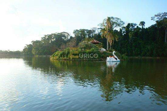 Terreno para aluguel no Capela em Vinhedo/SP: