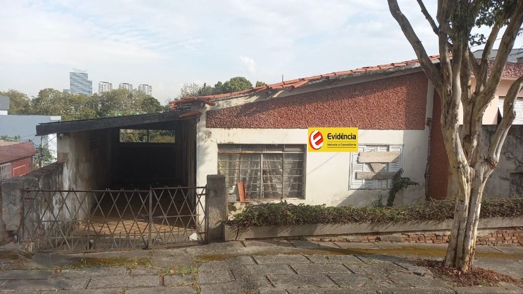 Terreno à venda no Vila Floresta: 