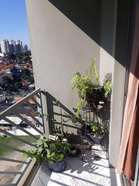 Apartamento à venda no Vila Bela Vista: 