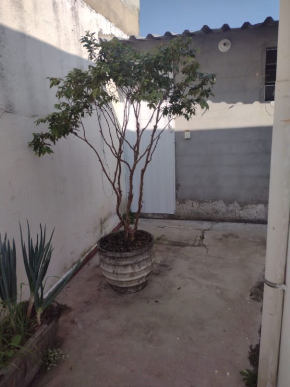 Casa à venda no Vila Floresta: 