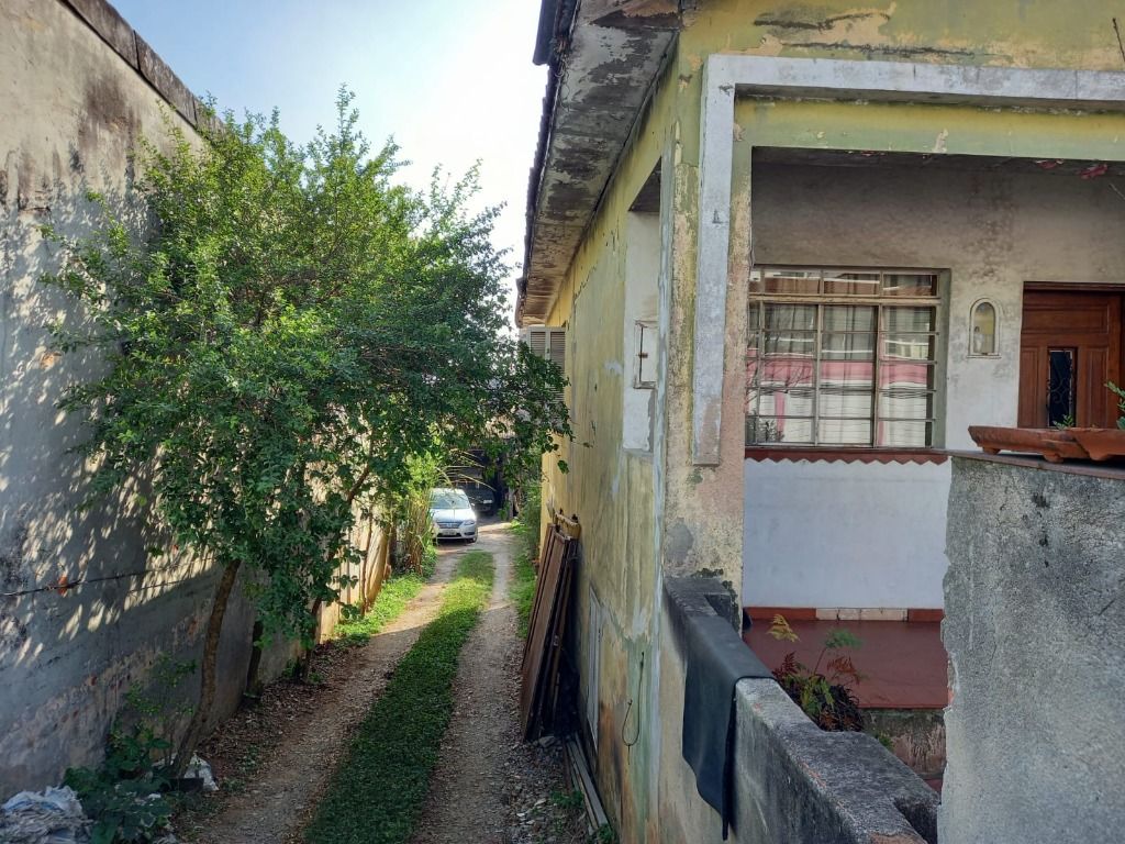 Terreno à venda no Vila Alzira: 