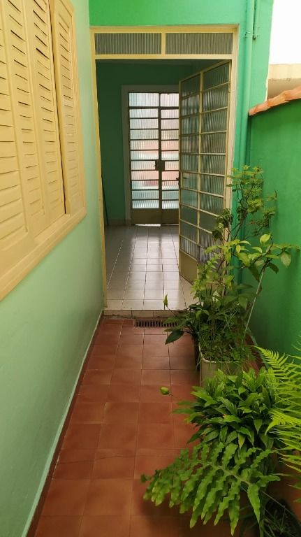 Casa à venda no Vila Floresta: 