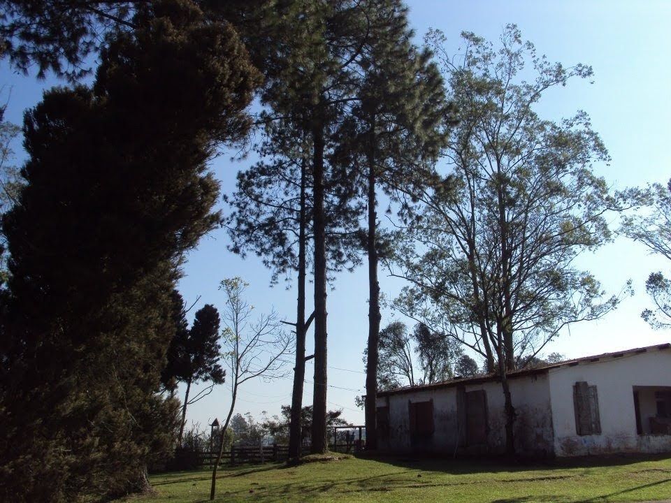 Chácara à venda no Parque das Garças: 