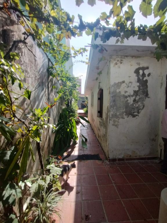 Casa à venda no Vila Valparaíso: 