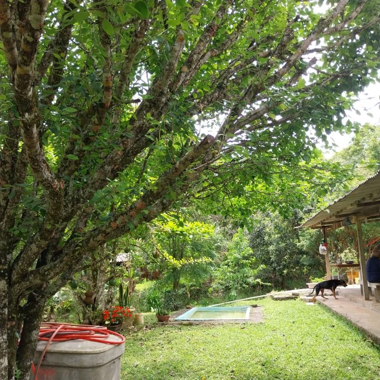 Chácara à venda no Paineiras: 