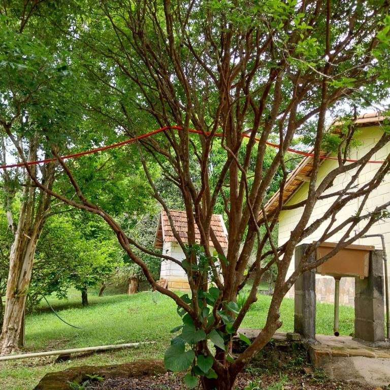 Chácara à venda no Paineiras: 