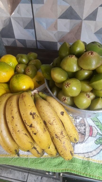 Chácara à venda no Paineiras: 