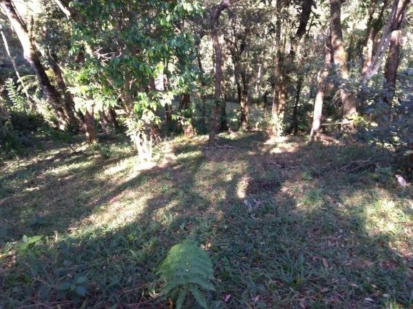 Chácara à venda no Tatetos: 