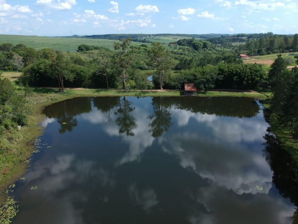 Terreno à venda no Floresta: 