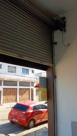 Salão para aluguel no Jardim Ocara: 