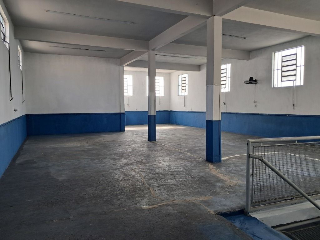 Galpão para aluguel no Vila Luzita: 