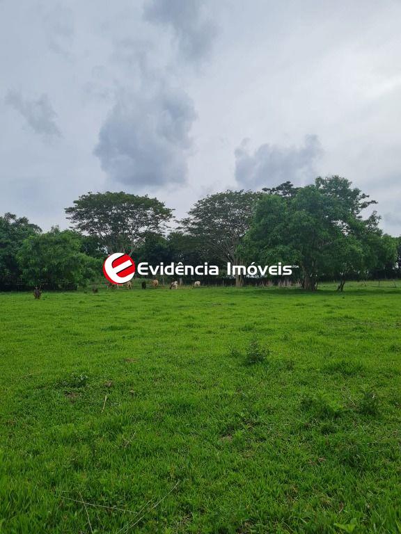 Terreno à venda no Centro: 