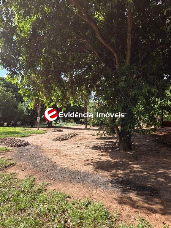 Terreno à venda no Centro: 