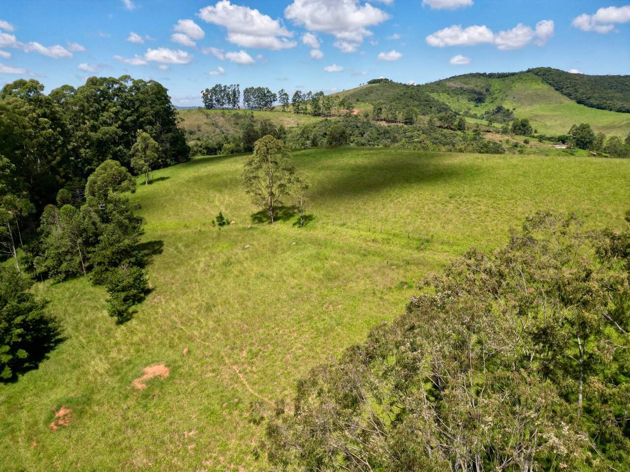 Fazenda à venda no Zona Rural de Alfredo Vasconcelos : 