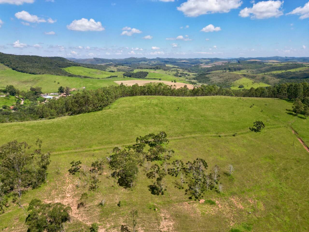 Fazenda à venda no Zona Rural de Alfredo Vasconcelos : 
