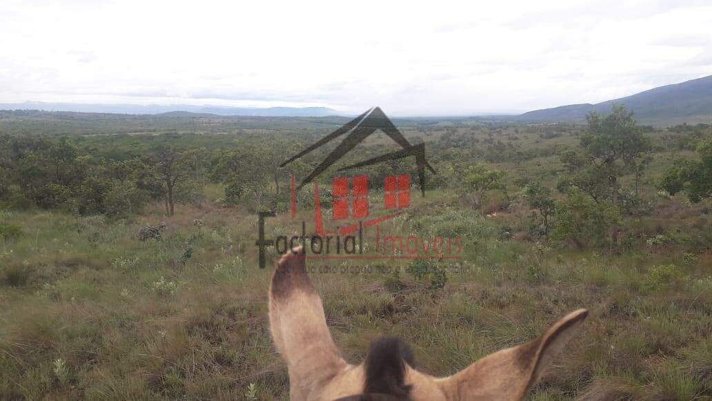 Fazenda à venda no Centro: 