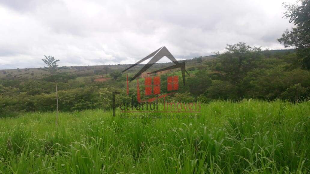 Fazenda à venda no Centro: 
