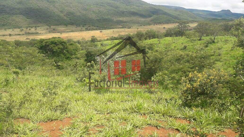 Fazenda à venda no Centro: 