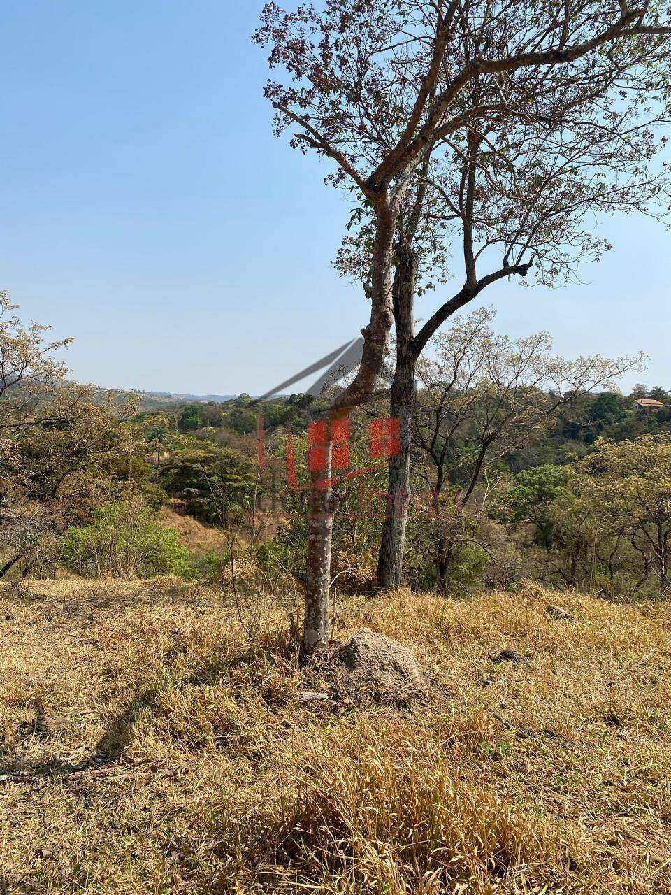 Chácara à venda no Floresta Encantada: 