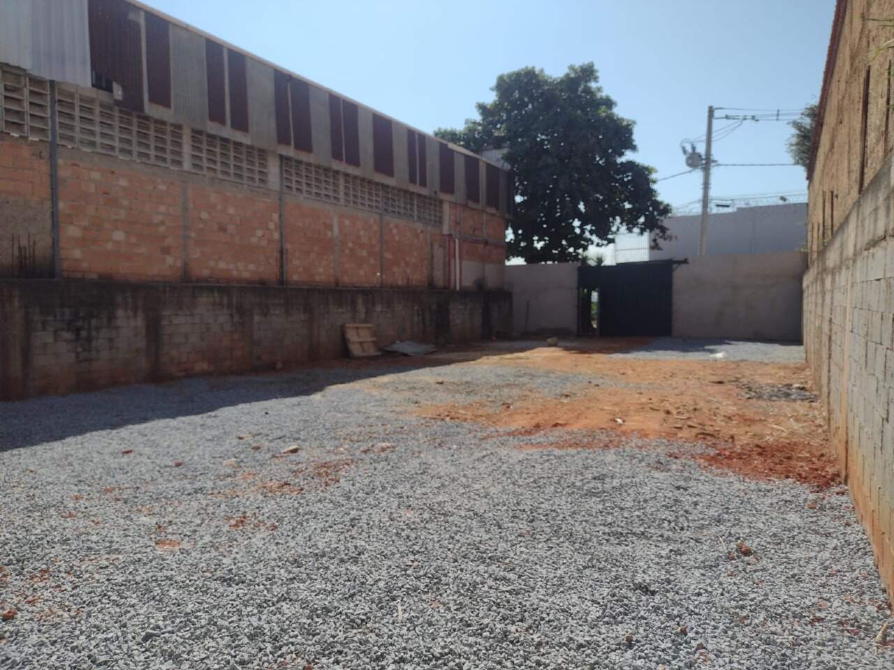 Lote para aluguel no Nova Cachoeirinha: 