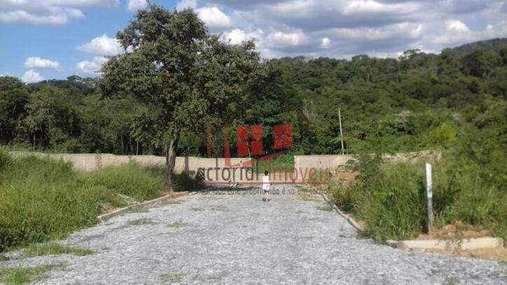 Terreno à venda no Liberdade: 