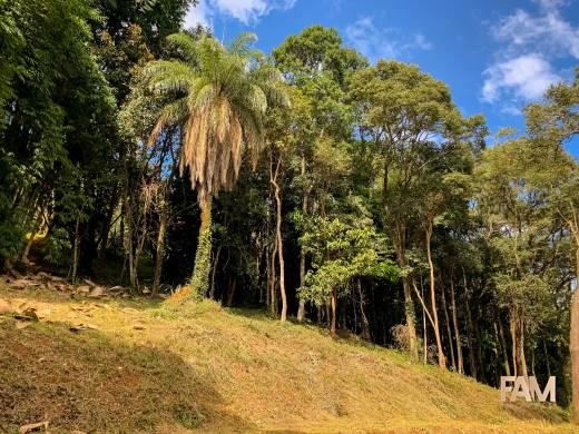 Lote à venda no Condomínio Vila Alpina: Lote à venda, Condomínio Vila Alpina - Nova Lima/MG