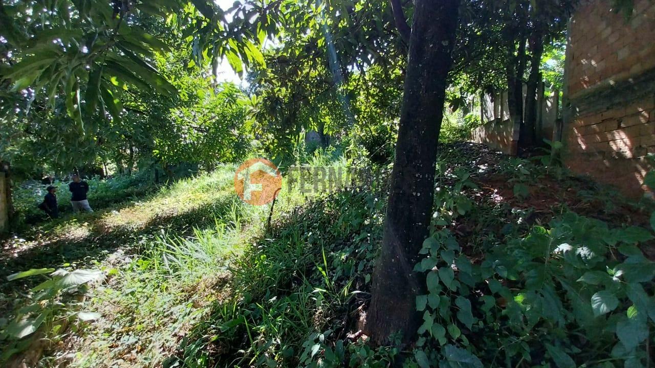 Lote à venda no Satélite: 