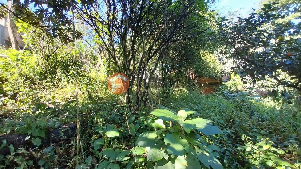 Lote à venda no Satélite: 