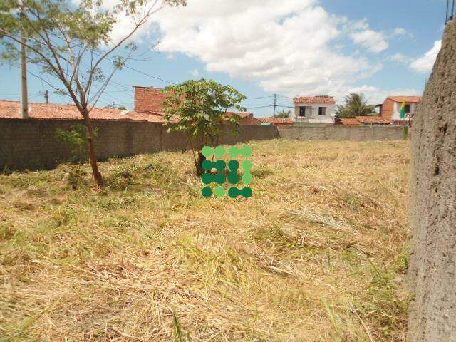Terreno para aluguel no Passaré: 