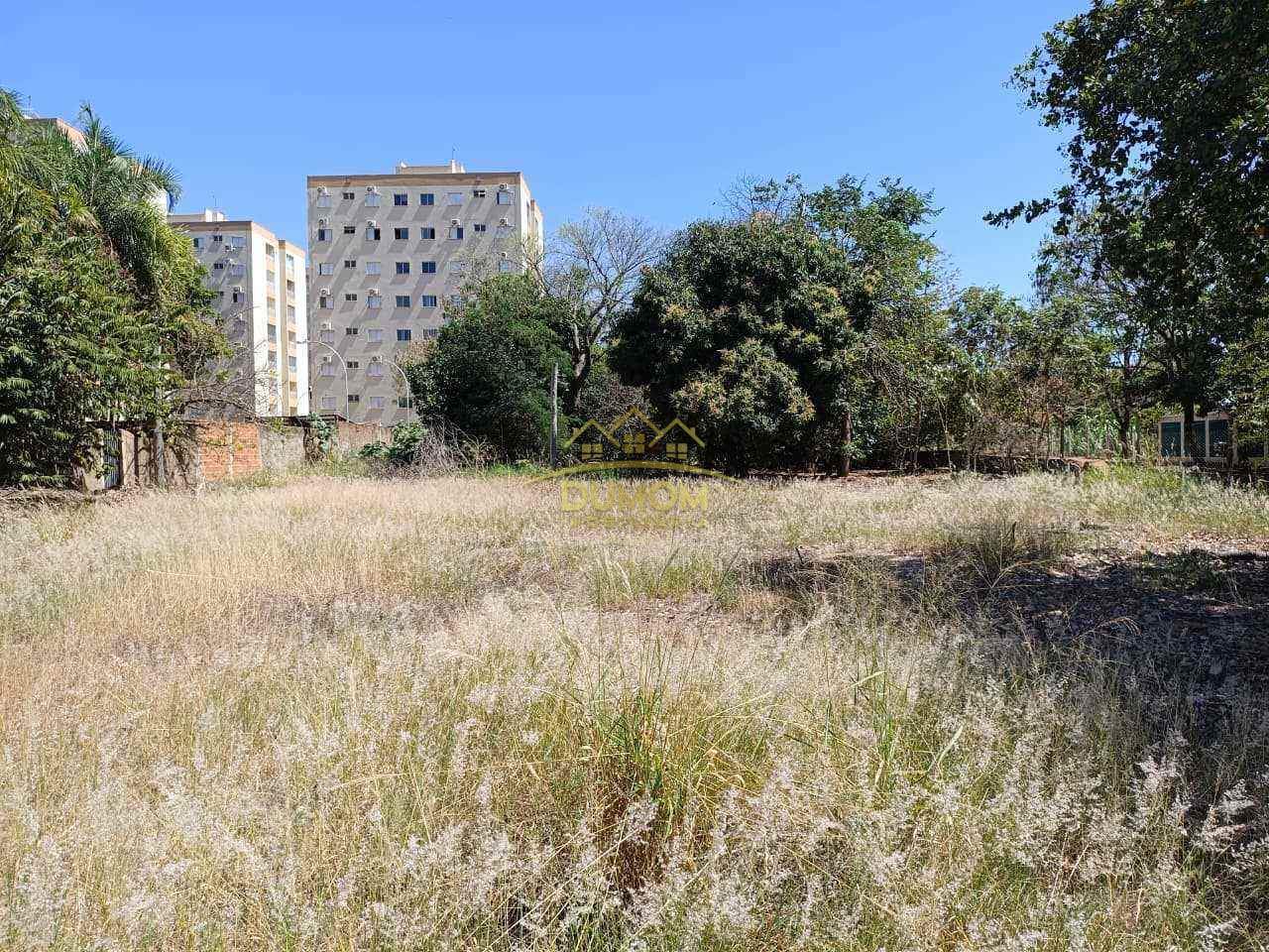 TERRENO à venda no BELA VISTA DA LAGOA: 